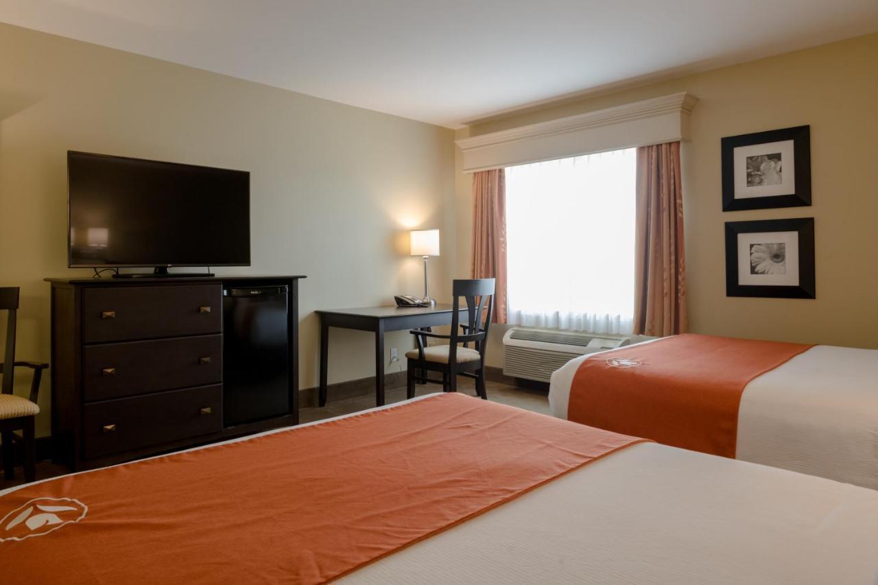 Amsterdam Inn & Suites Сассекс Экстерьер фото
