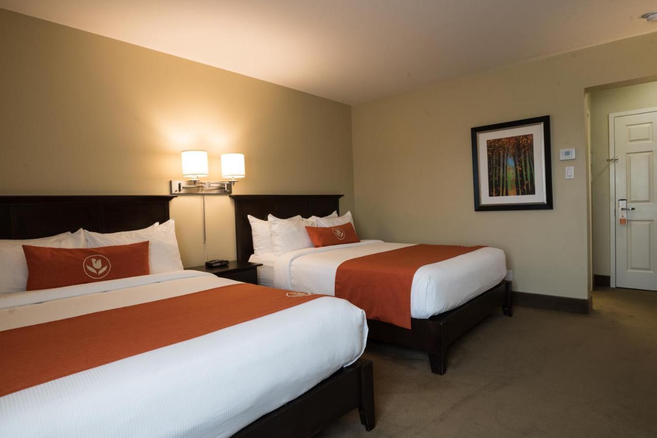 Amsterdam Inn & Suites Сассекс Экстерьер фото