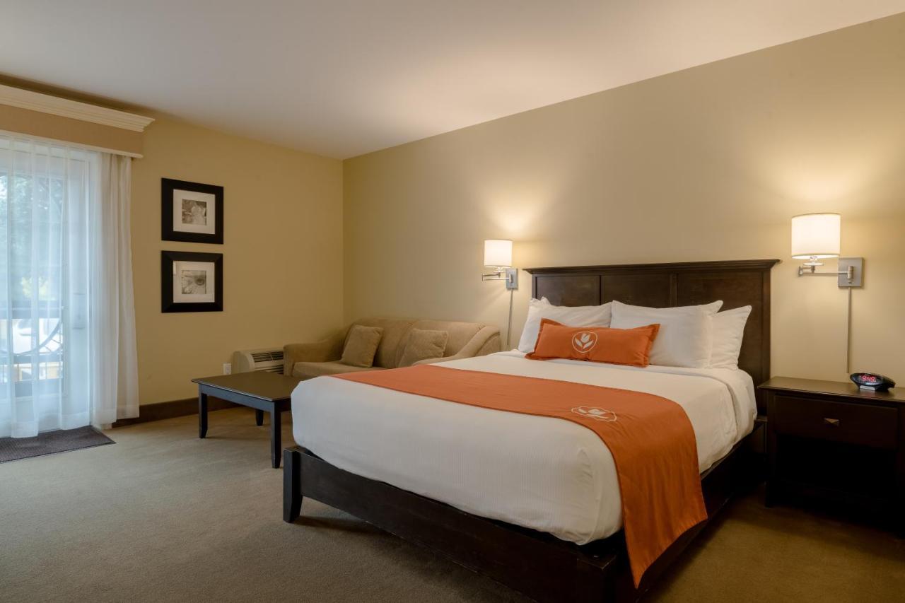 Amsterdam Inn & Suites Сассекс Экстерьер фото