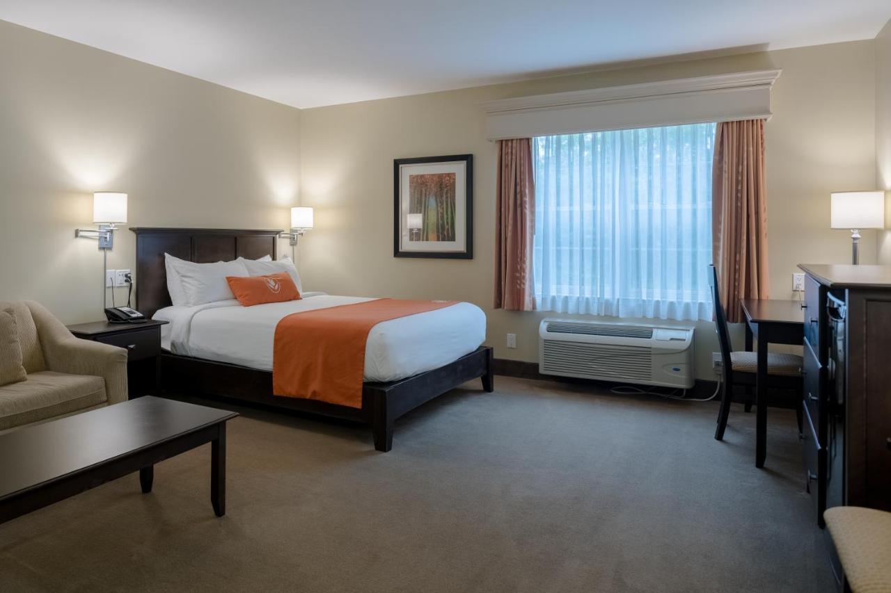 Amsterdam Inn & Suites Сассекс Экстерьер фото