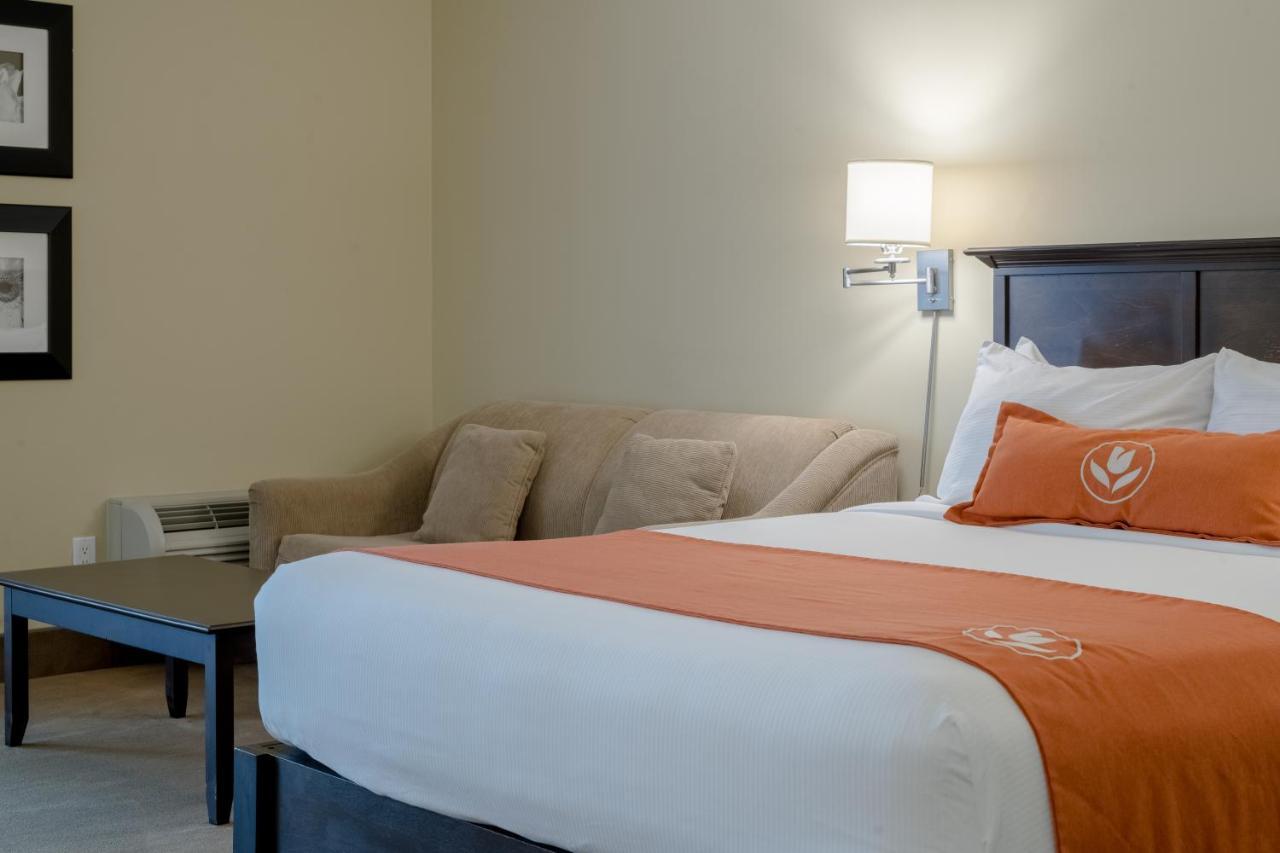 Amsterdam Inn & Suites Сассекс Экстерьер фото