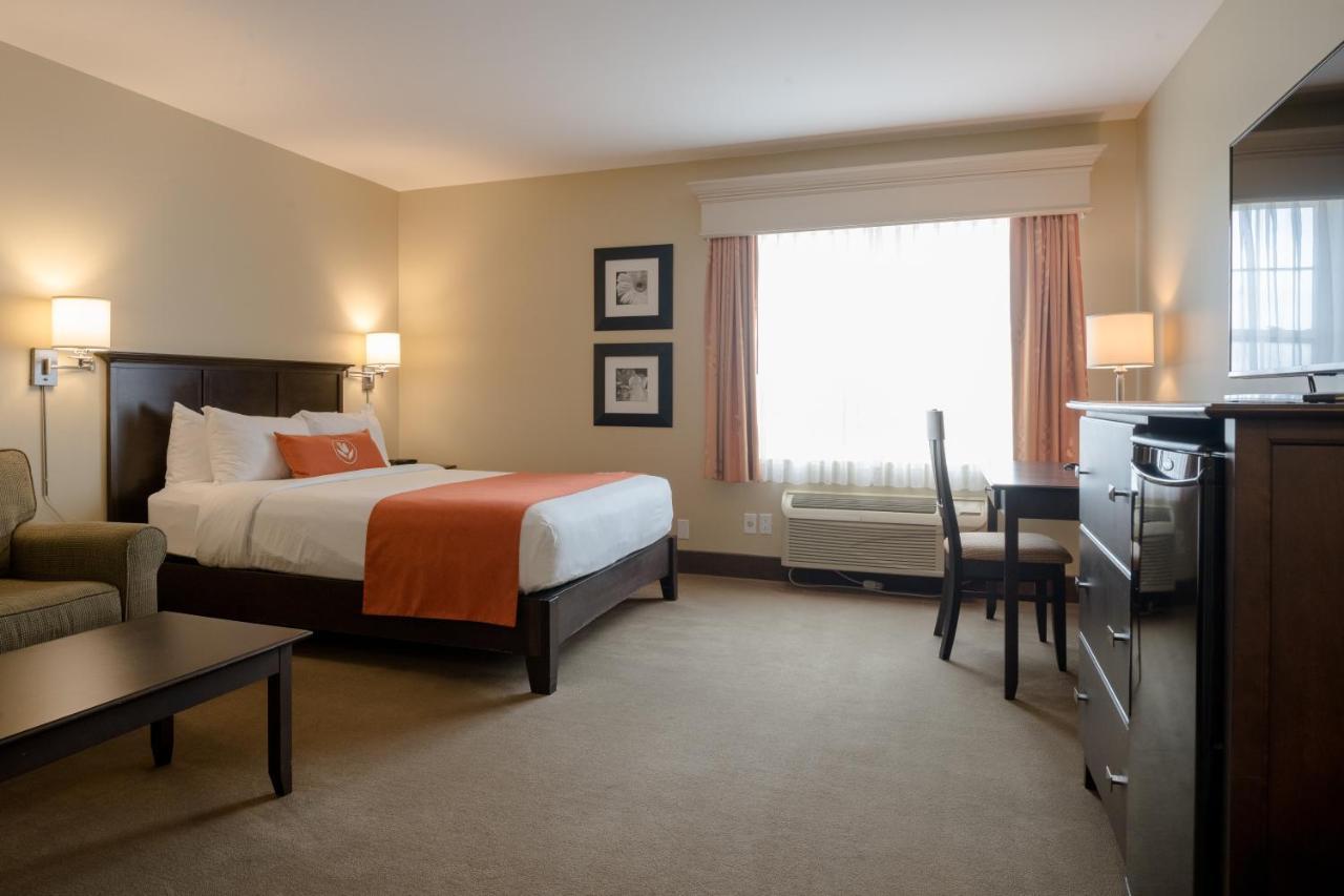 Amsterdam Inn & Suites Сассекс Экстерьер фото