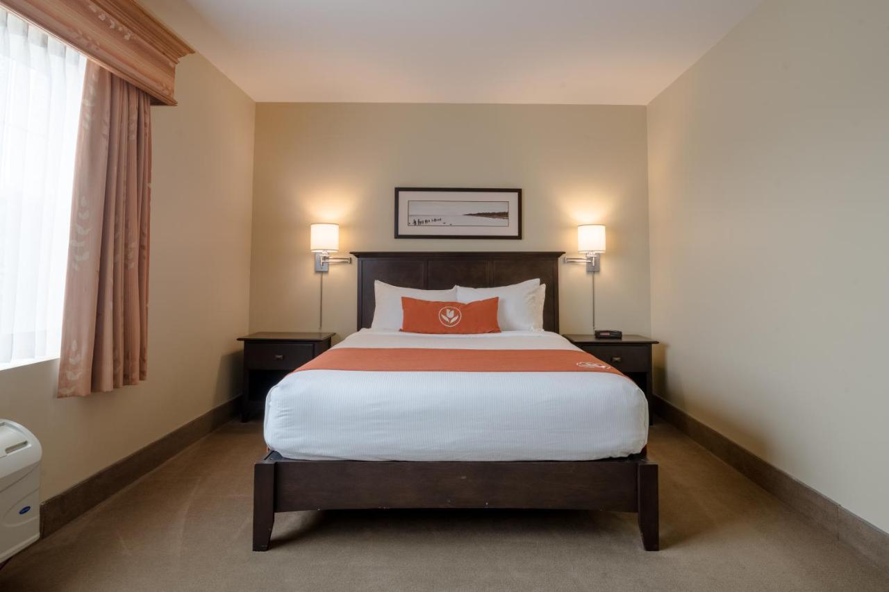 Amsterdam Inn & Suites Сассекс Экстерьер фото