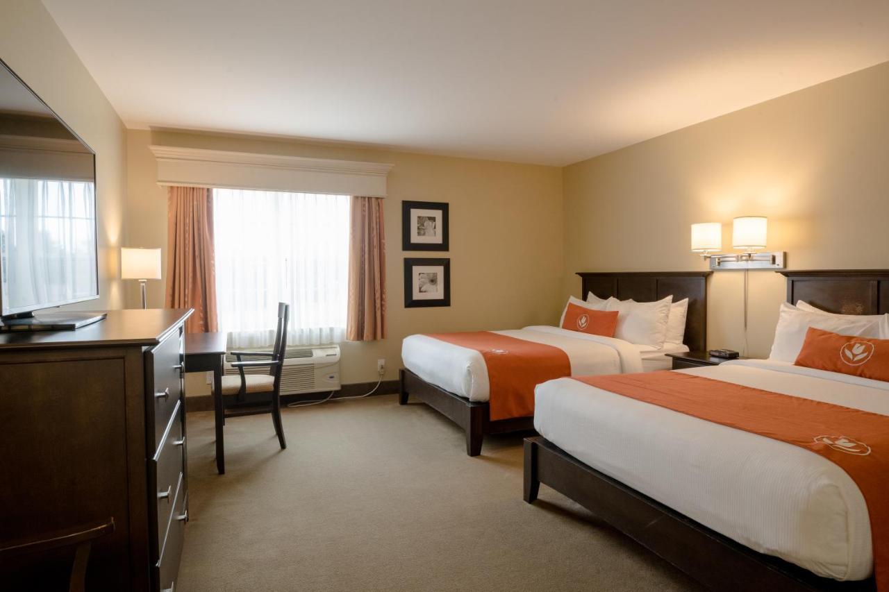 Amsterdam Inn & Suites Сассекс Экстерьер фото