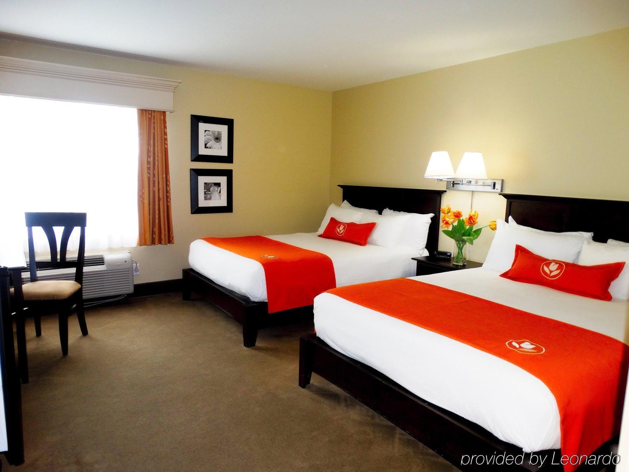 Amsterdam Inn & Suites Сассекс Экстерьер фото
