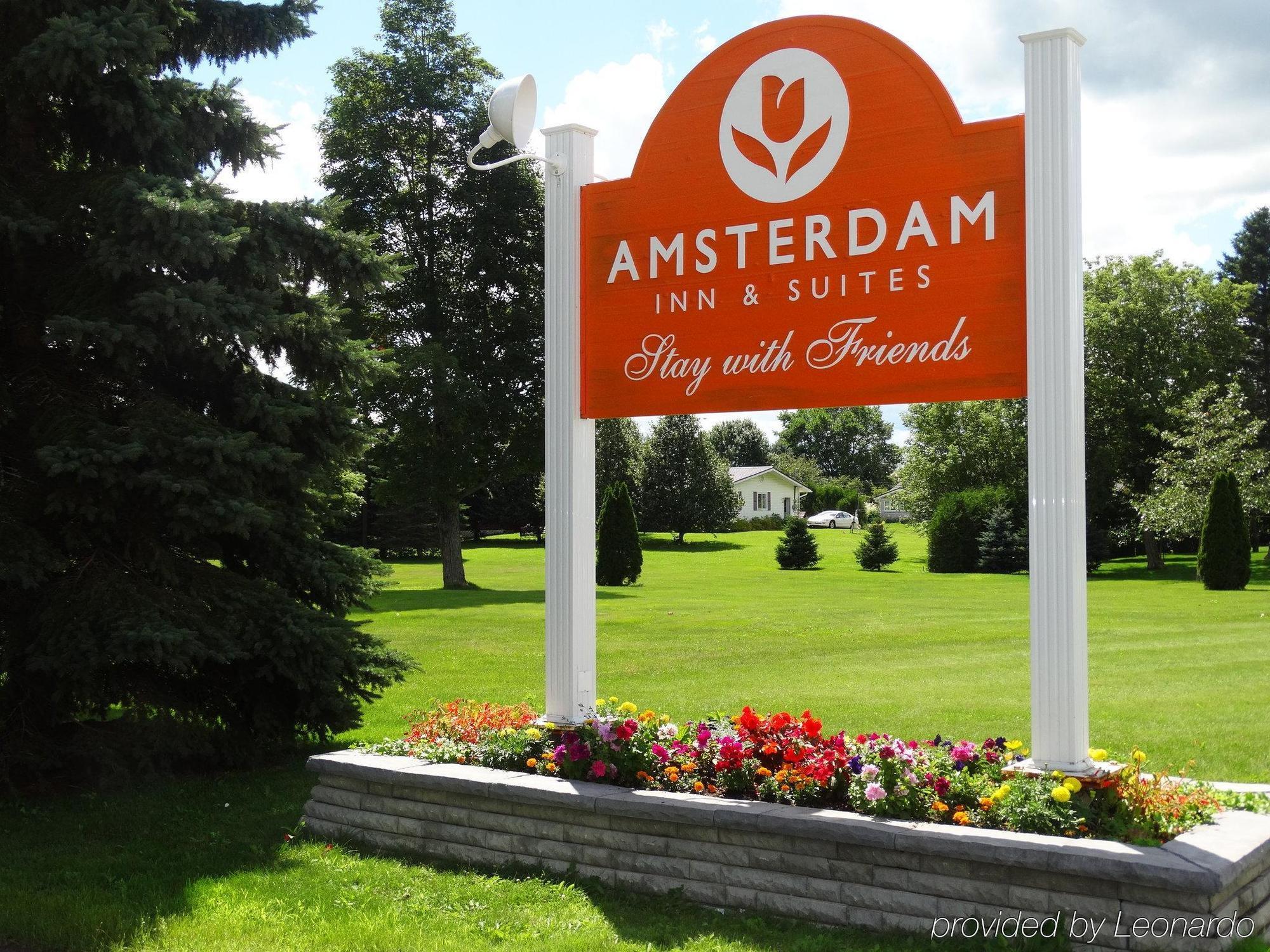 Amsterdam Inn & Suites Сассекс Экстерьер фото
