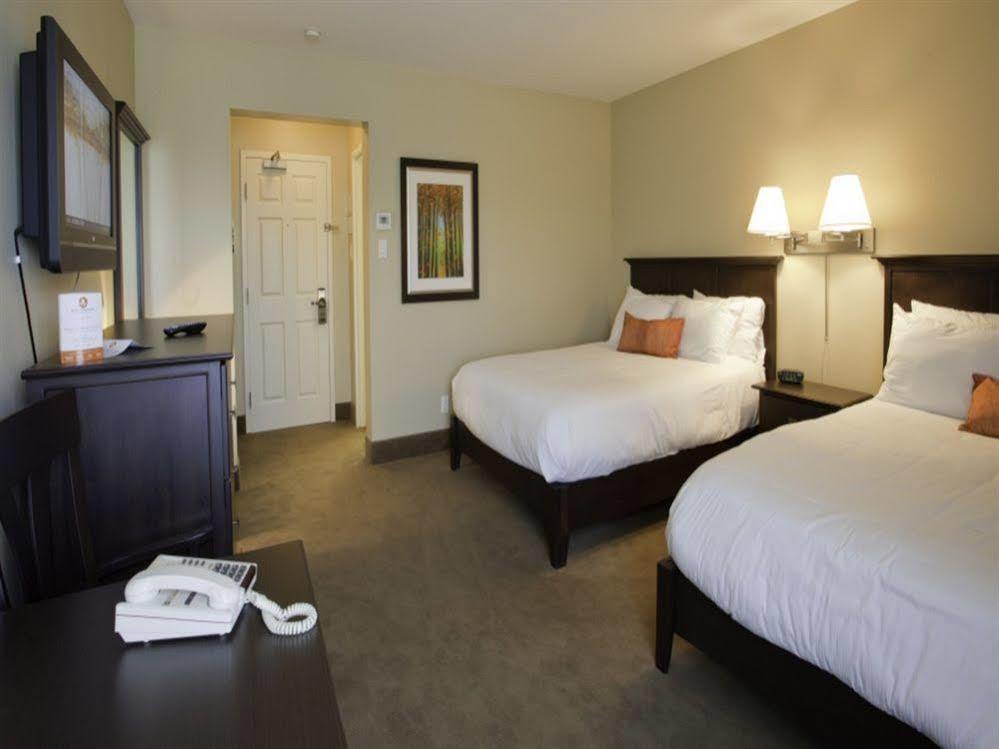 Amsterdam Inn & Suites Сассекс Экстерьер фото