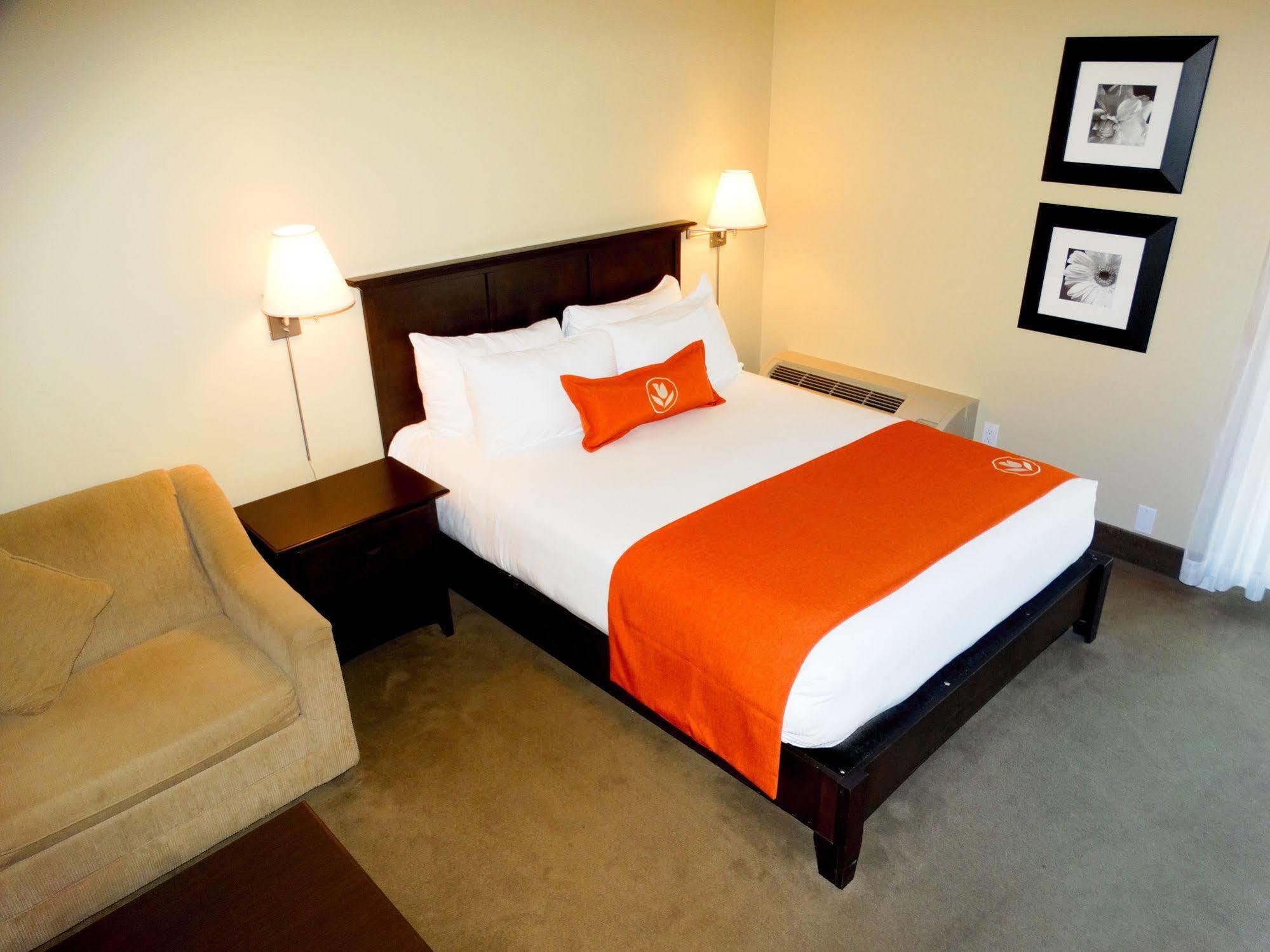 Amsterdam Inn & Suites Сассекс Экстерьер фото