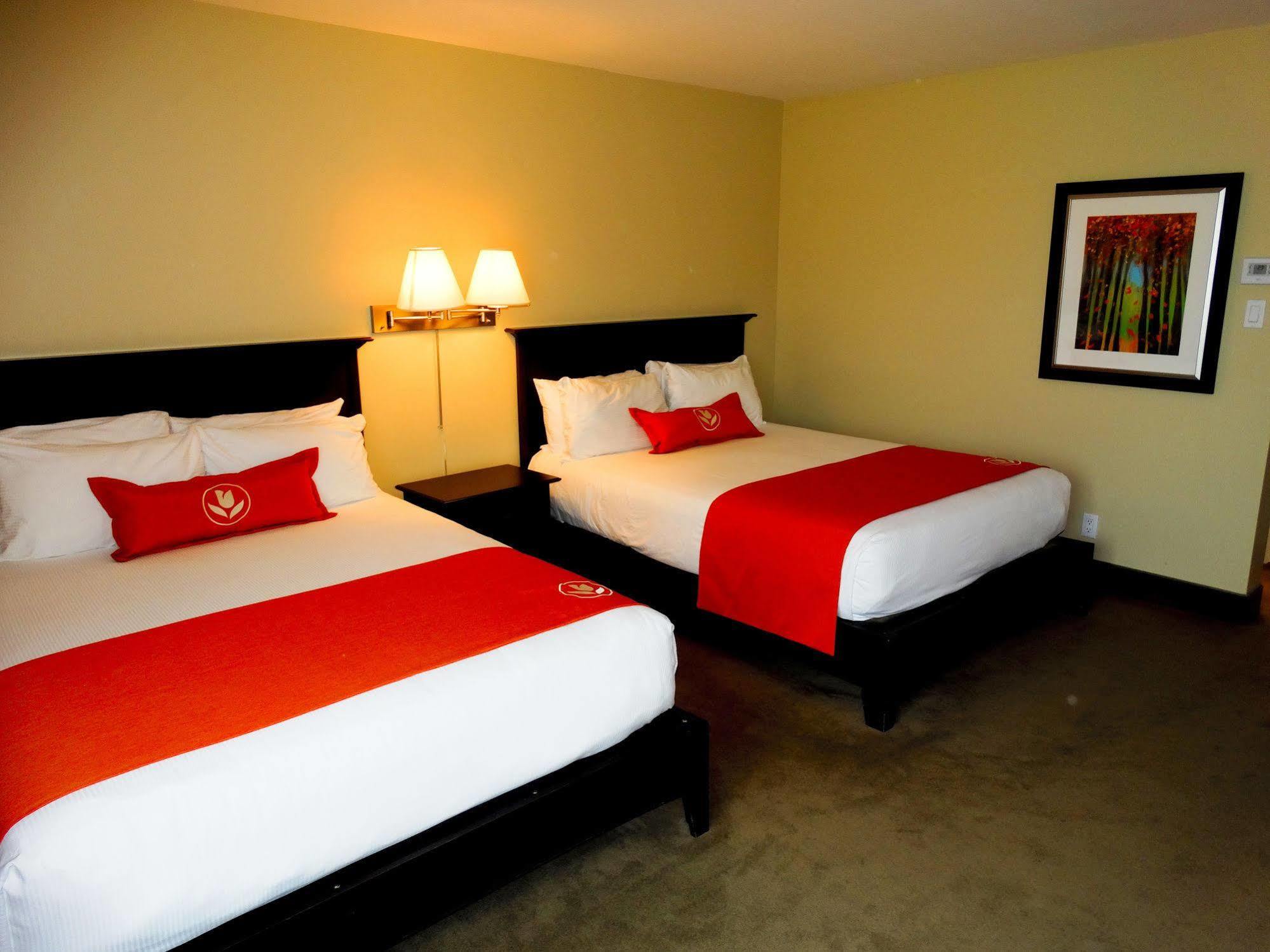 Amsterdam Inn & Suites Сассекс Экстерьер фото