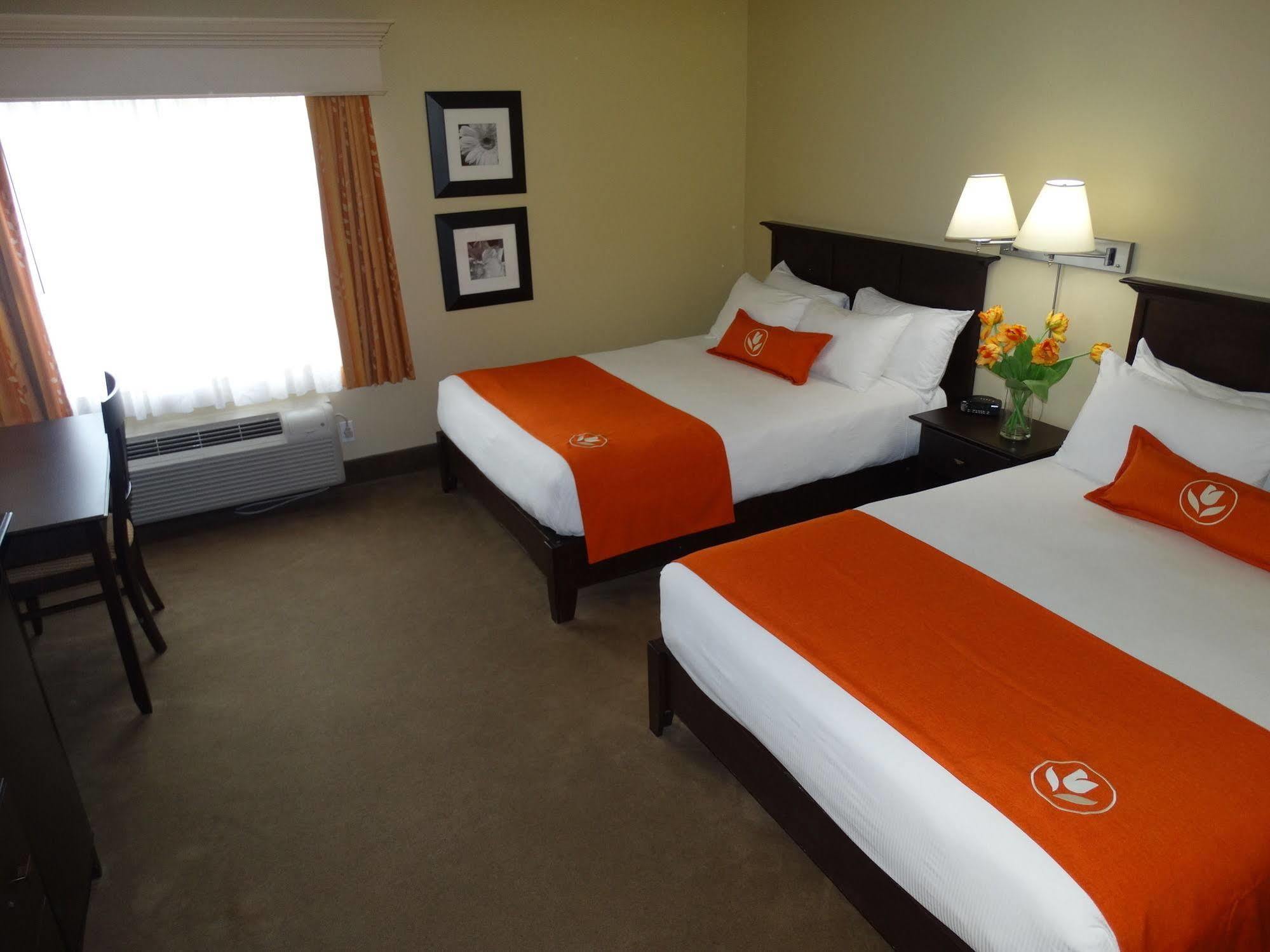 Amsterdam Inn & Suites Сассекс Экстерьер фото
