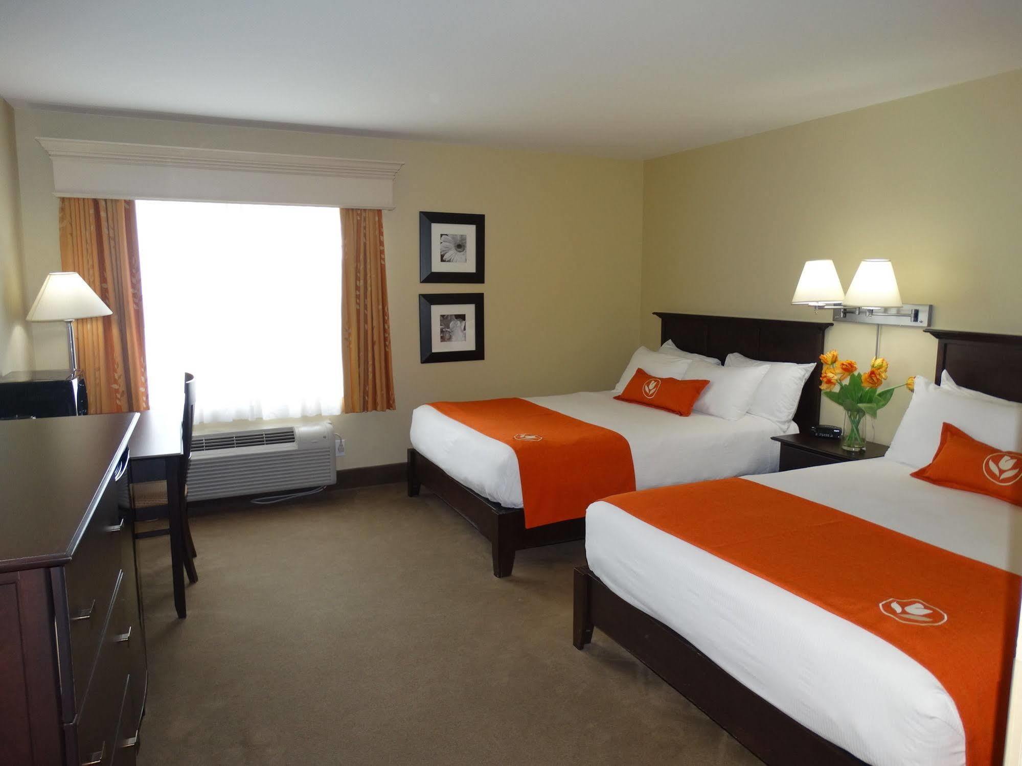 Amsterdam Inn & Suites Сассекс Экстерьер фото